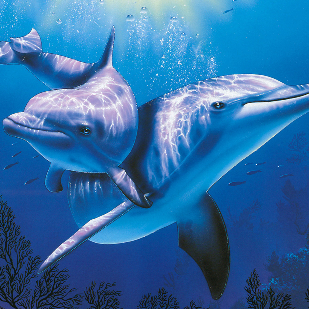 Fondo de pantalla Blue Dolphins 1024x1024