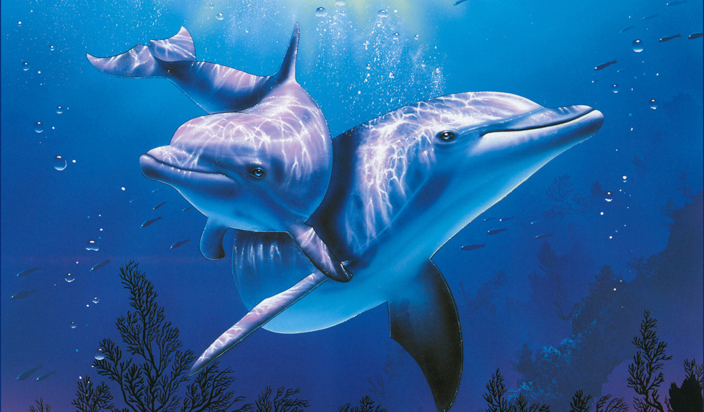 Sfondi Blue Dolphins 1024x600