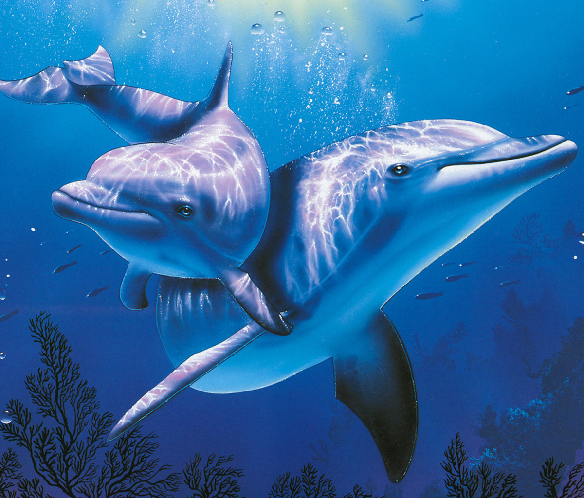Blue Dolphins wallpaper 1200x1024