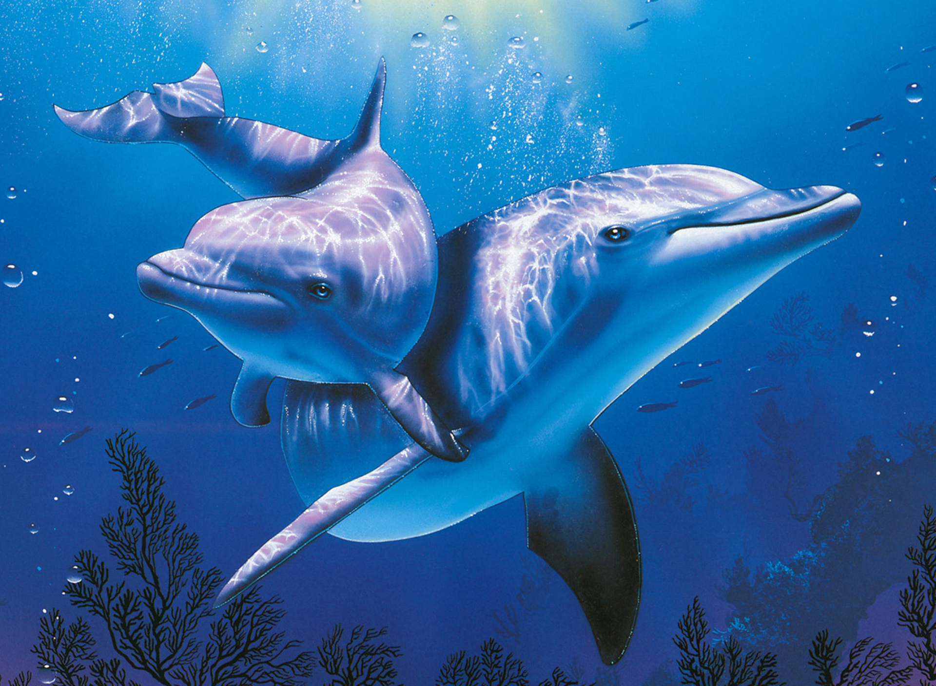 Blue Dolphins wallpaper 1920x1408