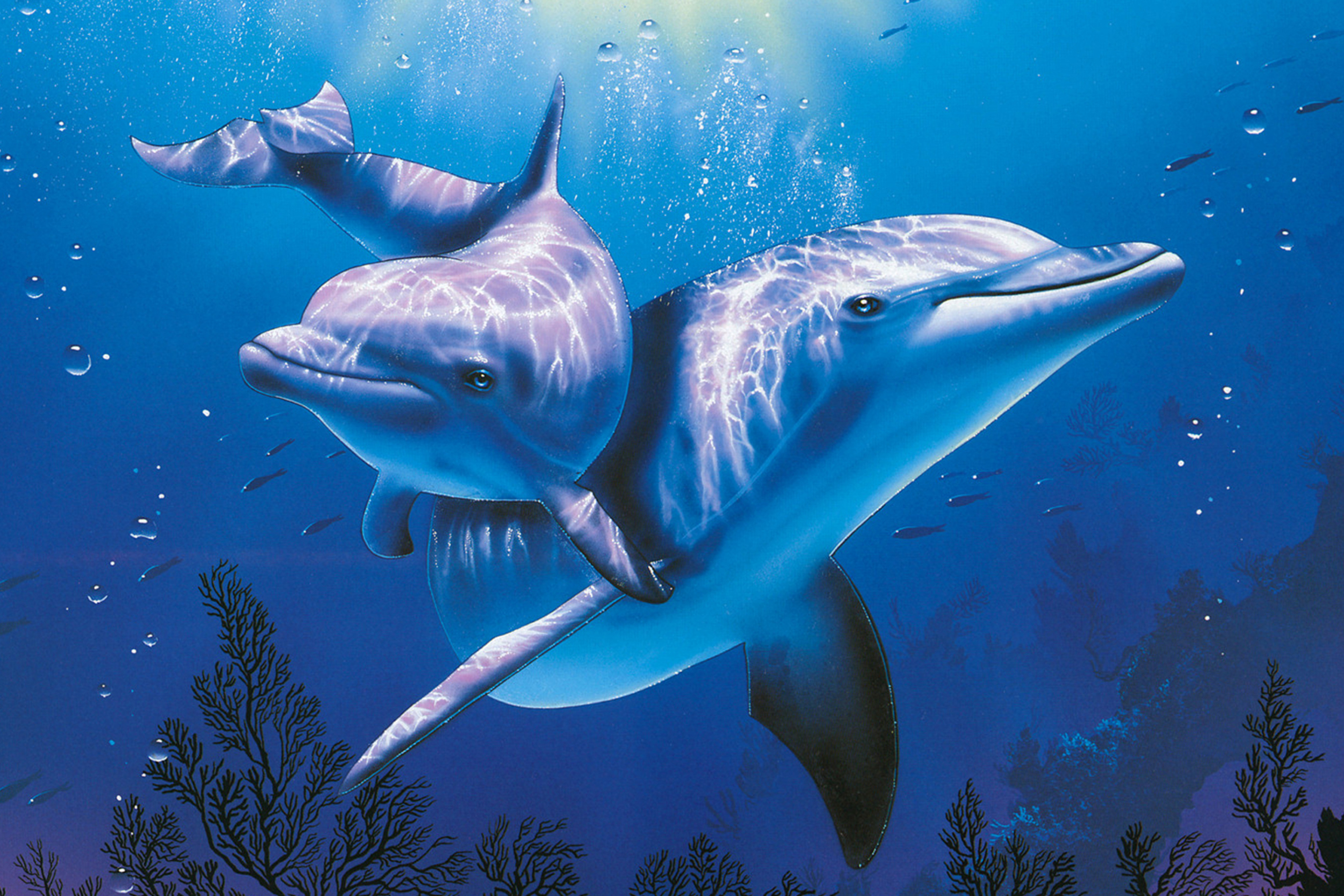 Живая природа дельфины. Художник Кристиан Риес Лассен черепахи. Дельфины в море. Дельфин в море. Подводный мир дельфины.