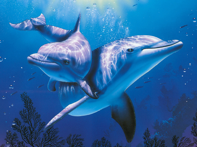 Fondo de pantalla Blue Dolphins 640x480