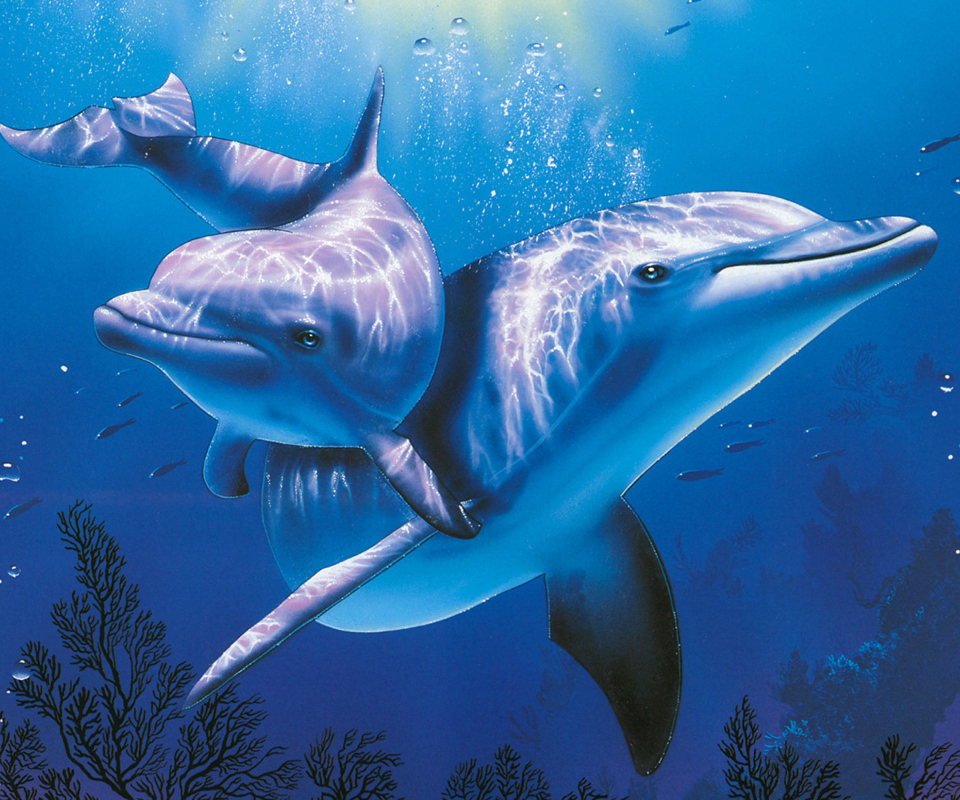Fondo de pantalla Blue Dolphins 960x800