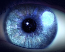 Das Blue Eye Close Up Wallpaper 220x176