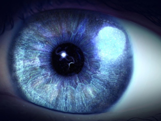 Das Blue Eye Close Up Wallpaper 320x240