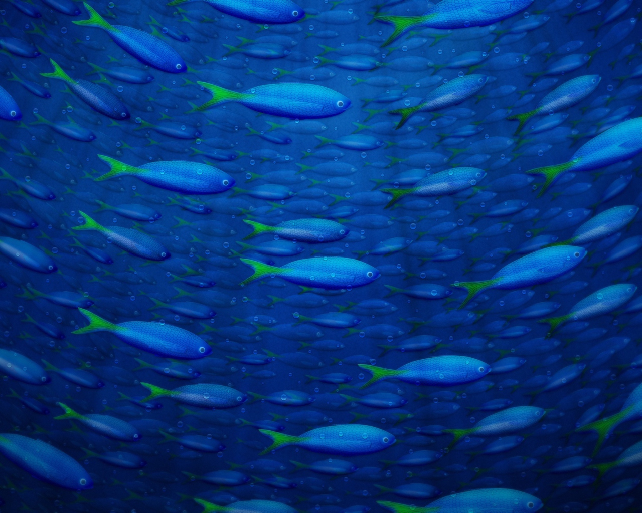 Fondo de pantalla Underwater Fish 1280x1024