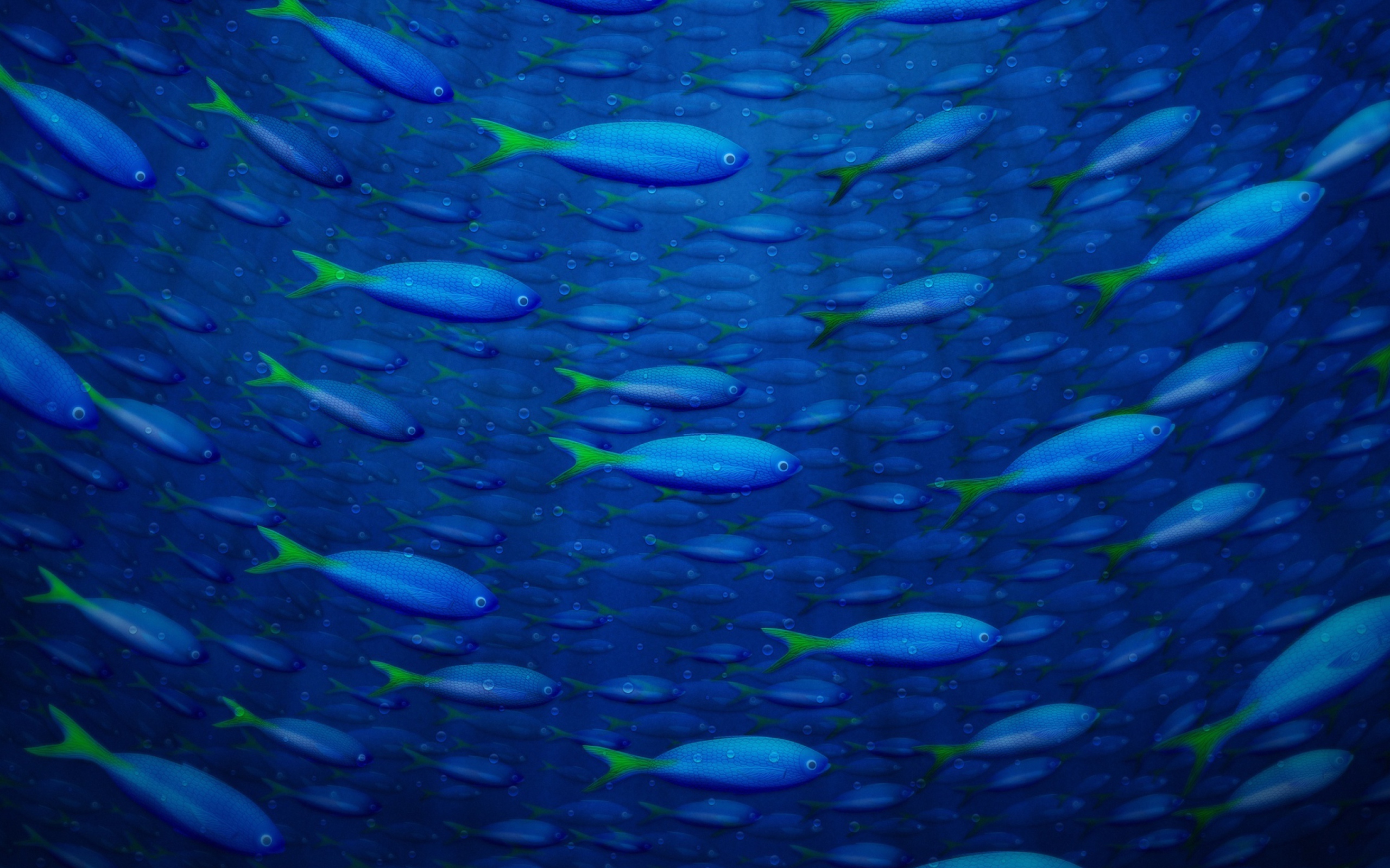 Das Underwater Fish Wallpaper 2560x1600