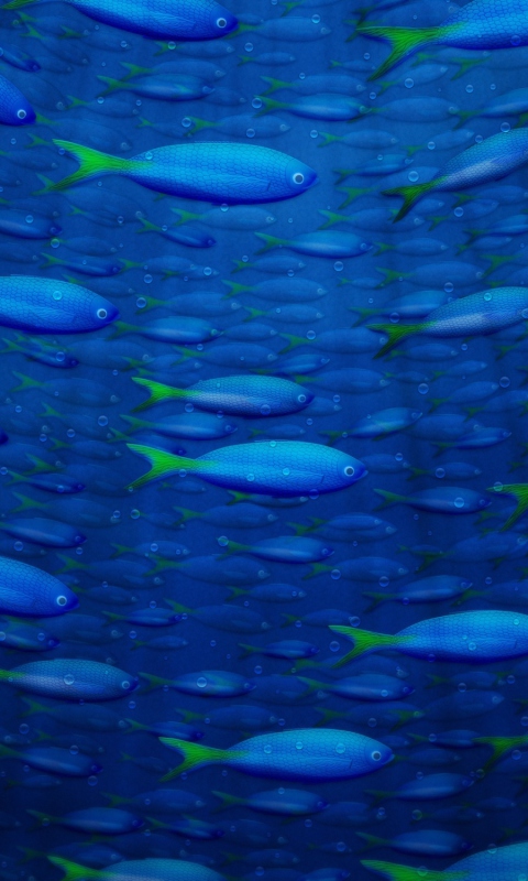 Underwater Fish wallpaper 480x800