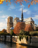 Обои Notre Dame de Paris 128x160