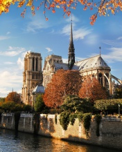 Обои Notre Dame de Paris 176x220