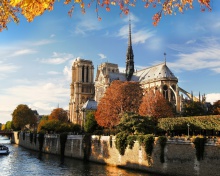 Das Notre Dame de Paris Wallpaper 220x176