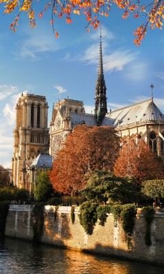 Fondo de pantalla Notre Dame de Paris 240x400