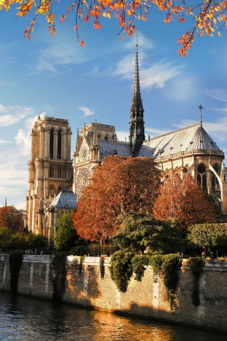 Fondo de pantalla Notre Dame de Paris 320x480