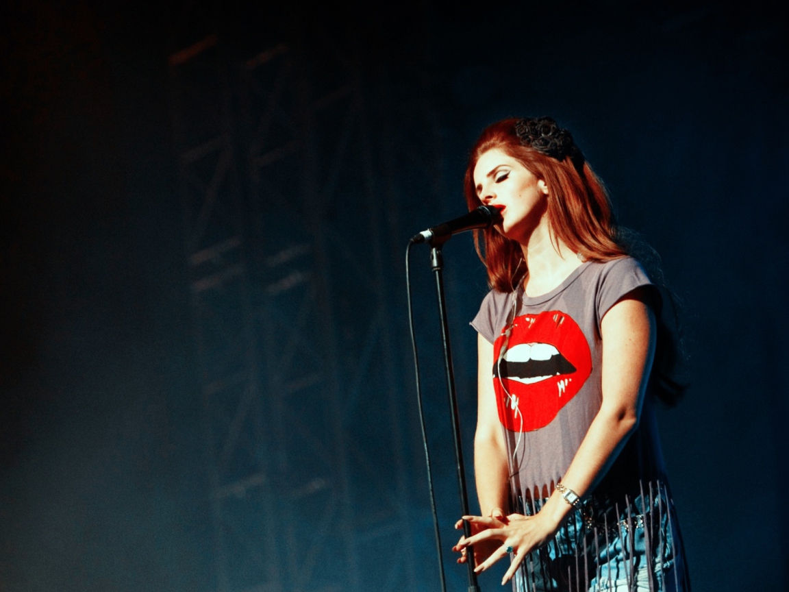 Screenshot №1 pro téma Lana Del Rey Concert 1152x864