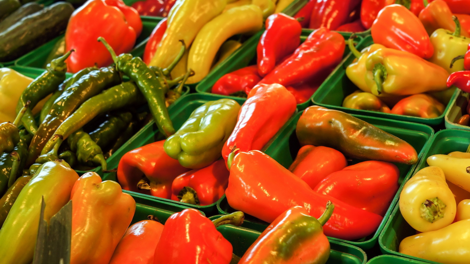 Colorful Peppers wallpaper 1600x900