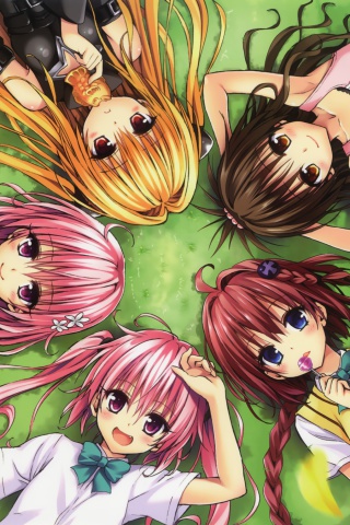 Screenshot №1 pro téma Kentaro Yabuki, To Love Ru 320x480