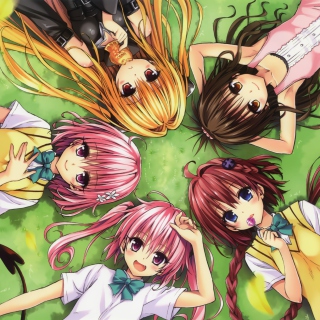 Kentaro Yabuki, To Love Ru - Fondos de pantalla gratis para Nokia 6230i