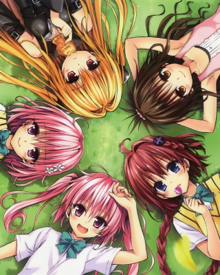 Kentaro Yabuki, To Love Ru - Obrázkek zdarma pro Nokia Asha 311