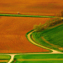 Обои Harvest Field 128x128