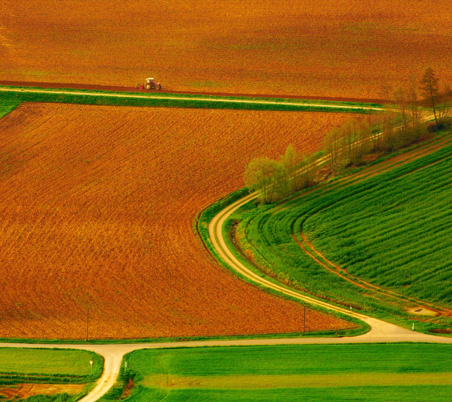 Das Harvest Field Wallpaper 1440x1280