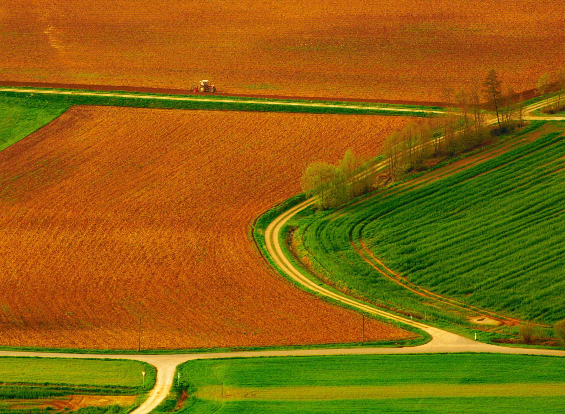 Fondo de pantalla Harvest Field 1920x1408