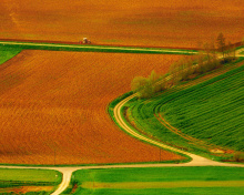Harvest Field wallpaper 220x176