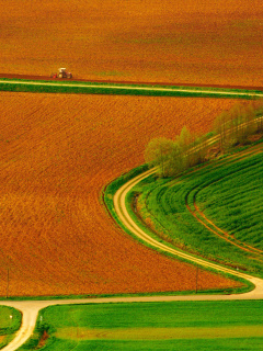 Fondo de pantalla Harvest Field 240x320