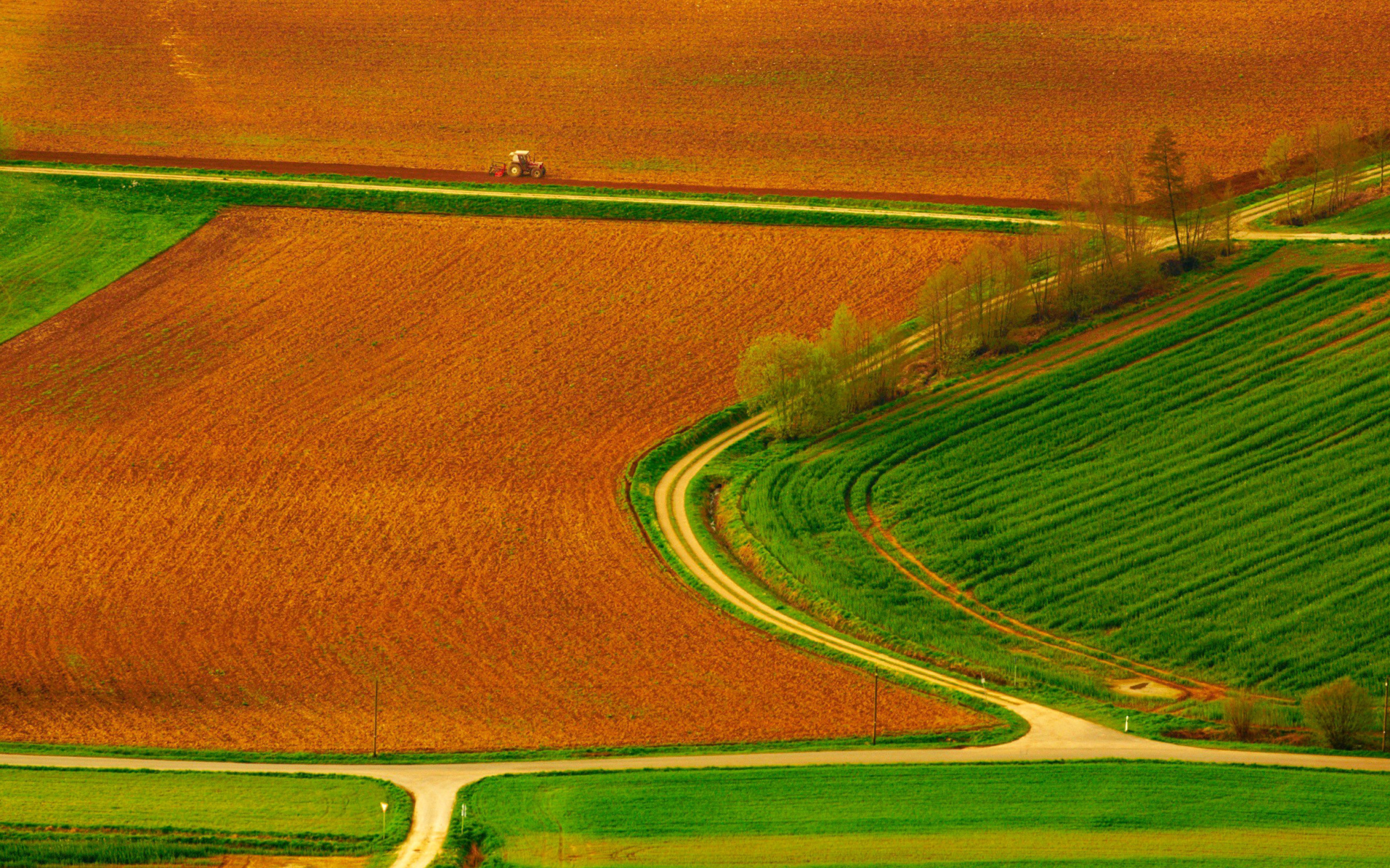 Harvest Field wallpaper 2560x1600