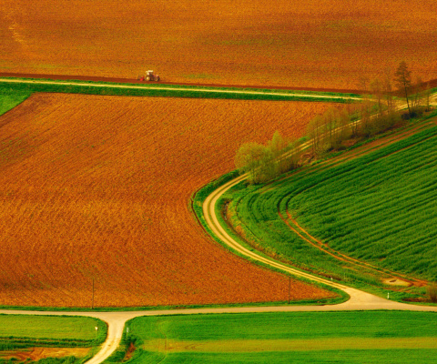 Harvest Field screenshot #1 480x400