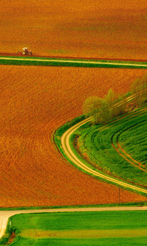 Harvest Field screenshot #1 480x800