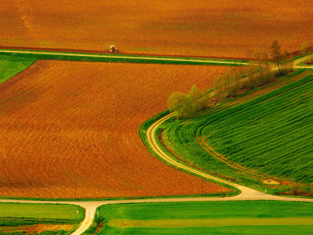 Das Harvest Field Wallpaper 640x480