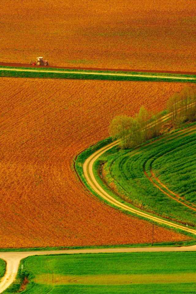 Harvest Field wallpaper 640x960