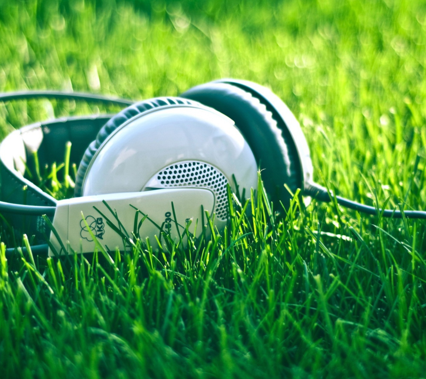 Sfondi Headphones In Grass 1440x1280
