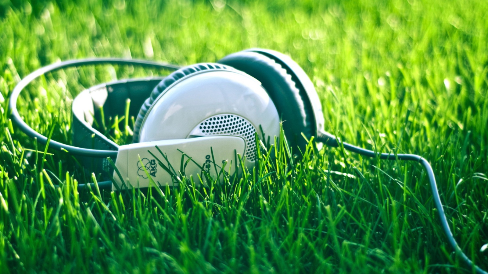 Sfondi Headphones In Grass 1600x900