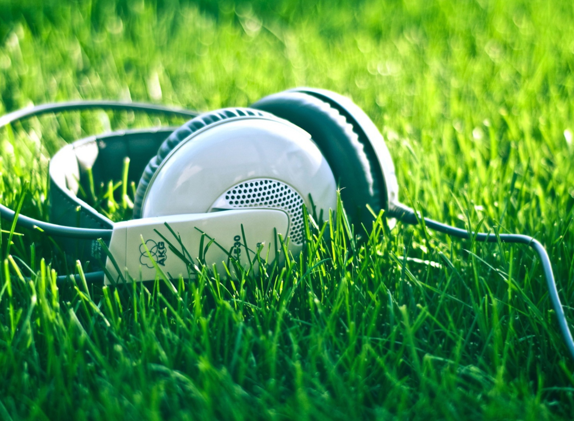 Обои Headphones In Grass 1920x1408