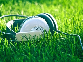 Fondo de pantalla Headphones In Grass 320x240