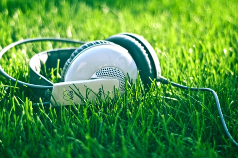 Sfondi Headphones In Grass 480x320