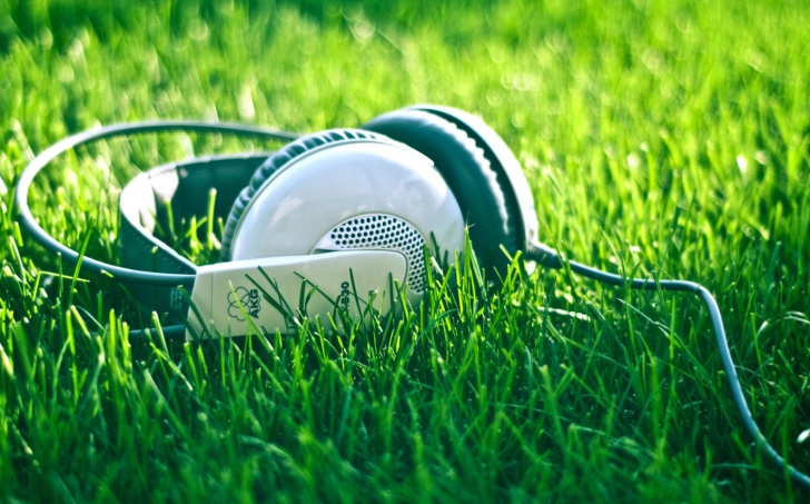 Headphones In Grass wallpaper