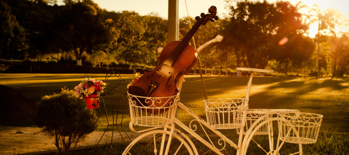 Fondo de pantalla Violin 720x320