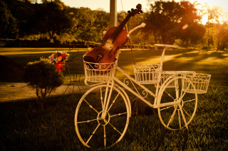 Violin Picture for Android, iPhone and iPad