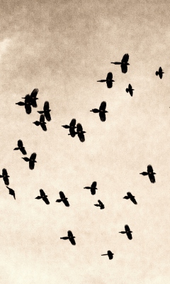 Das Birds In Sky Wallpaper 240x400