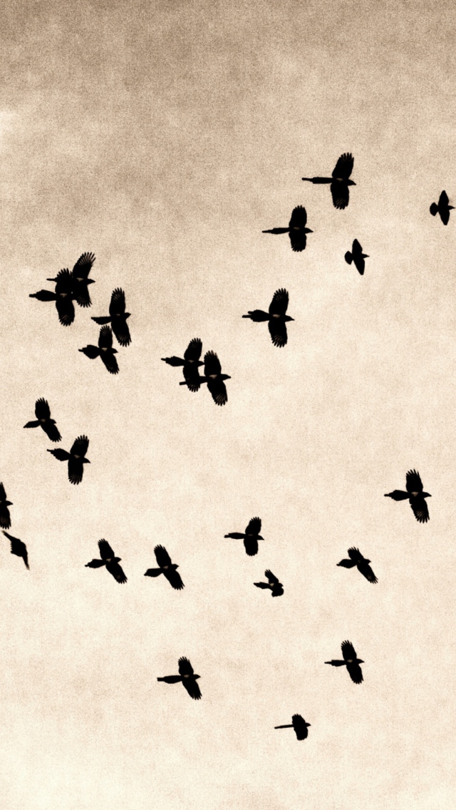 Das Birds In Sky Wallpaper 640x1136