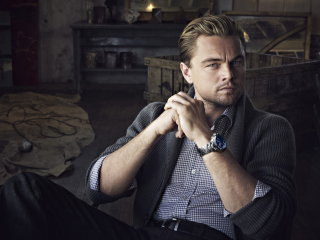 Leonardo DiCaprio screenshot #1 320x240
