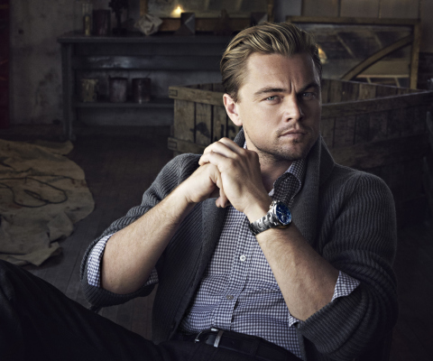 Screenshot №1 pro téma Leonardo DiCaprio 480x400