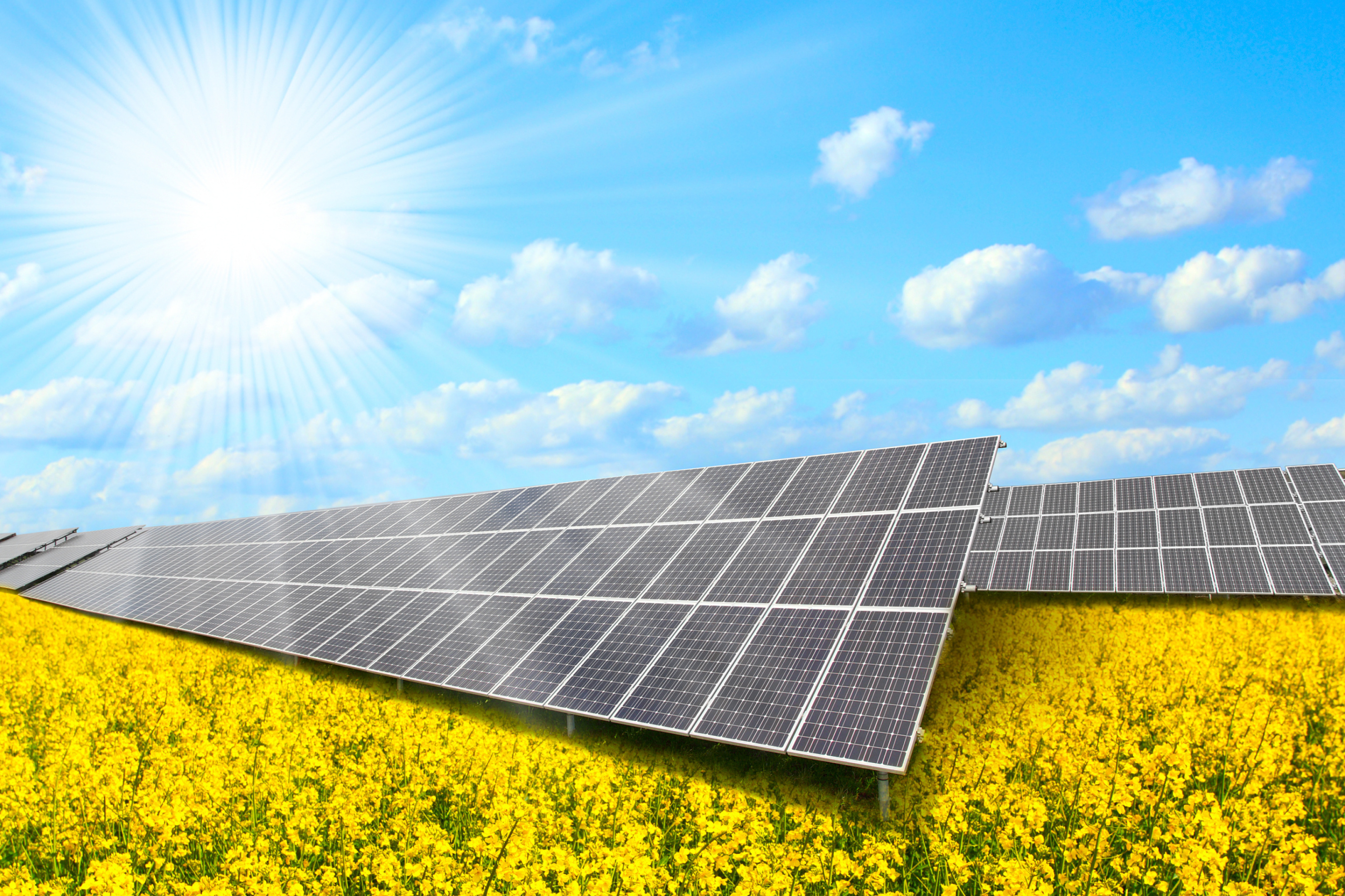 Обои Solar panels on Field 2880x1920