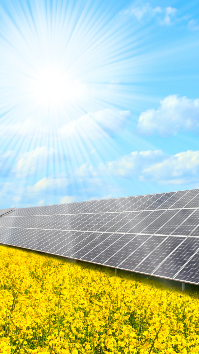 Solar panels on Field wallpaper 640x1136