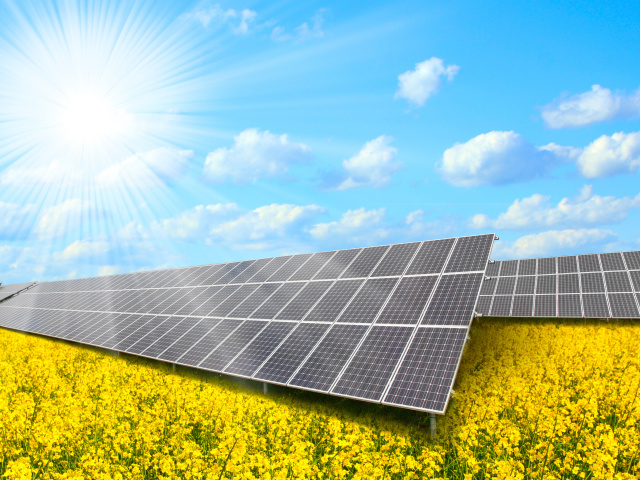 Solar panels on Field wallpaper 640x480