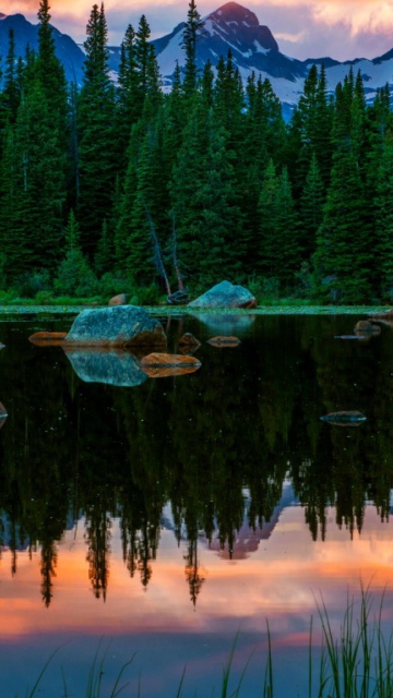 Sfondi Lake In Swiss Alps 360x640