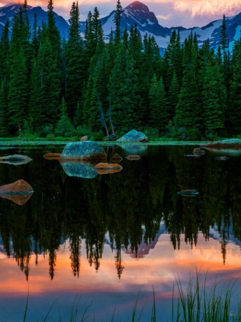 Fondo de pantalla Lake In Swiss Alps 480x640