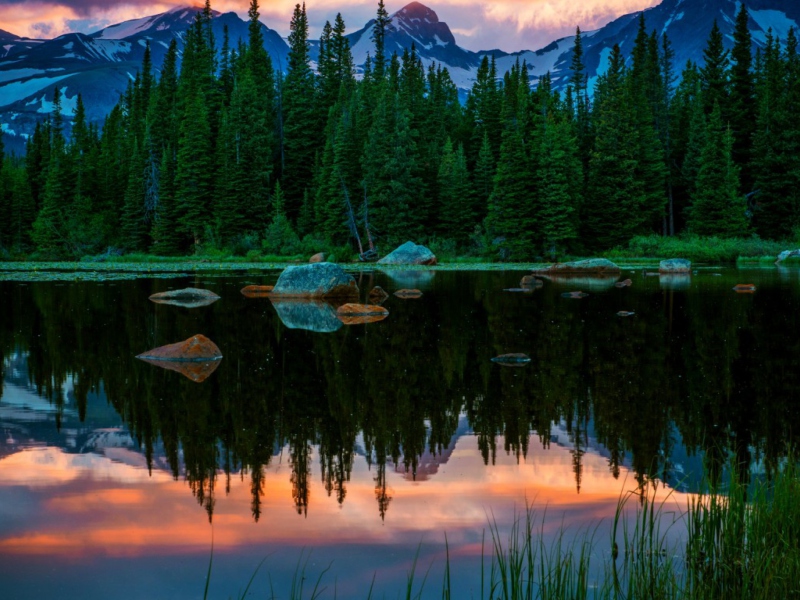 Обои Lake In Swiss Alps 800x600